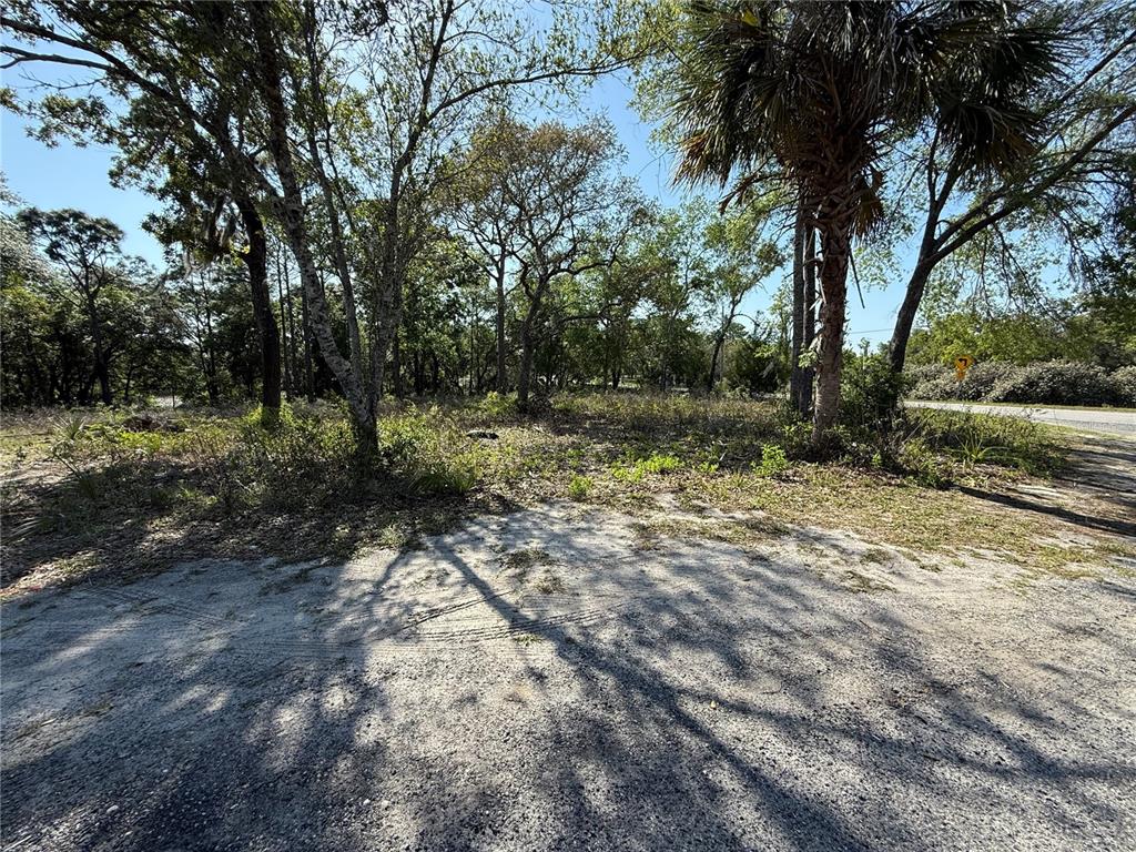 Indian Trail Road Brooksville, FL 34613 - Photo 9 of 27 a backyard of a house with lots of green space