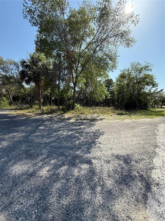Indian Trail Road Brooksville, FL 34613 - Photo 10 of 27 a view of a field with trees in it