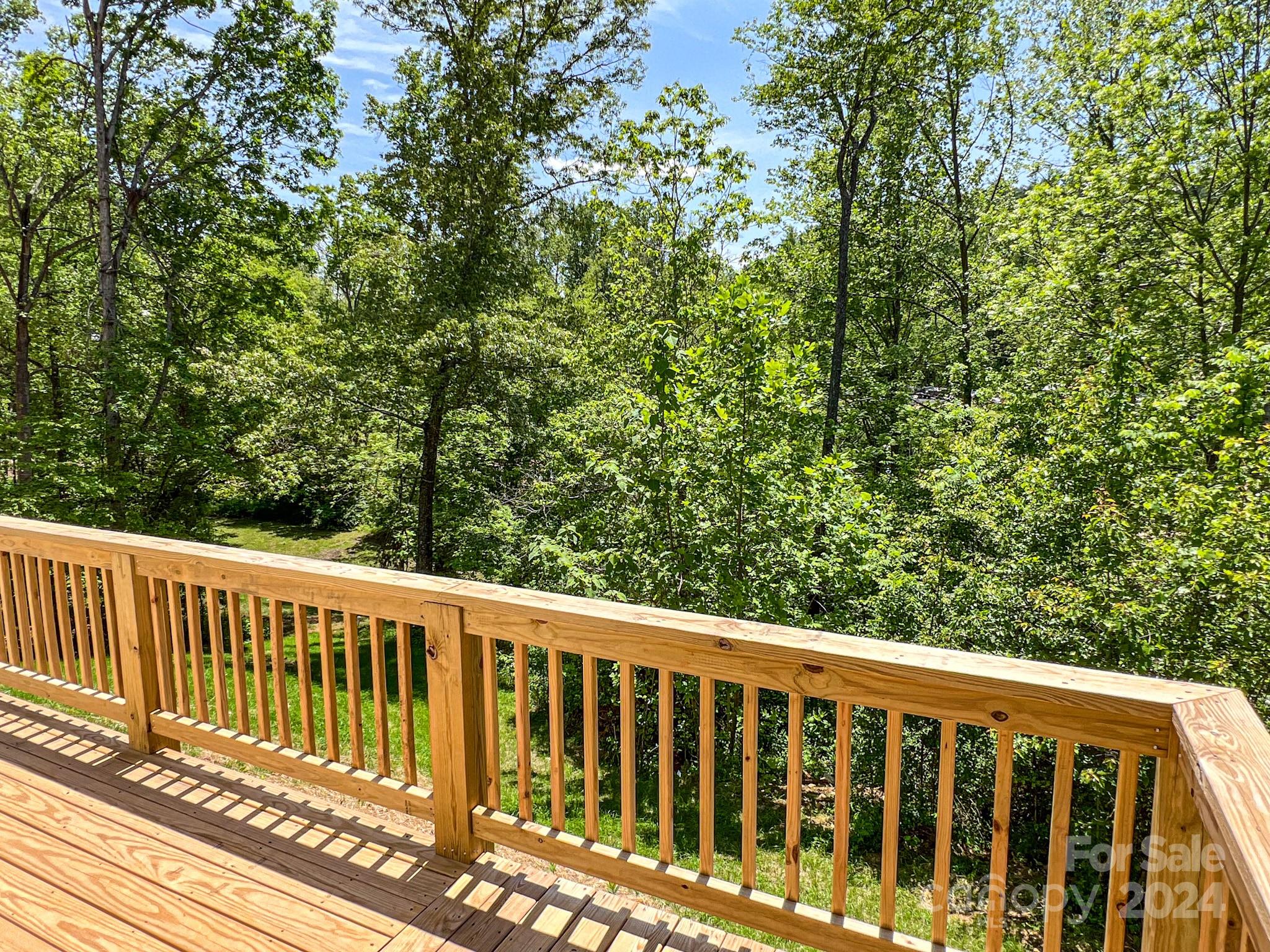 21 George Allen Ridge Arden, NC 28704 - Photo 3 of 29 Gallery Image 3