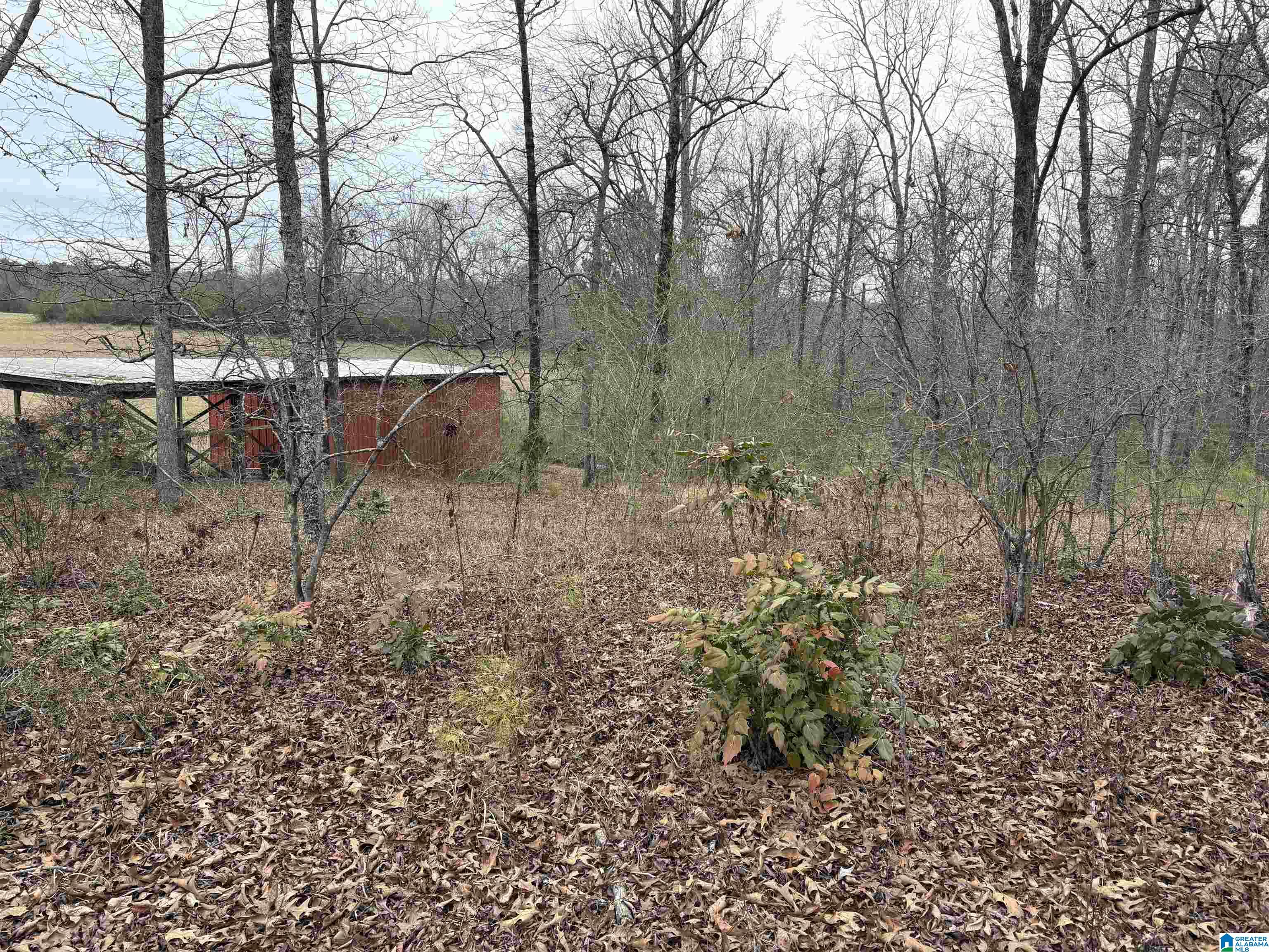 3349 Nail Road, Unit 40 6 ACRES / Warrior, AL 35180 - Photo 13 of 16