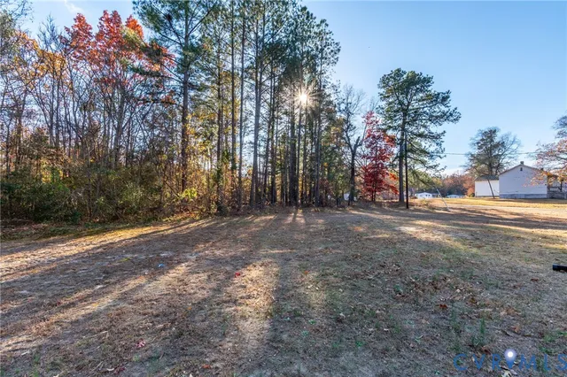 a view of dirt yard with a large tree