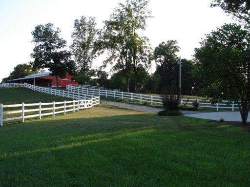 1565 River Road New Market, TN 37820 - Photo 20 of 22 Additional Photo