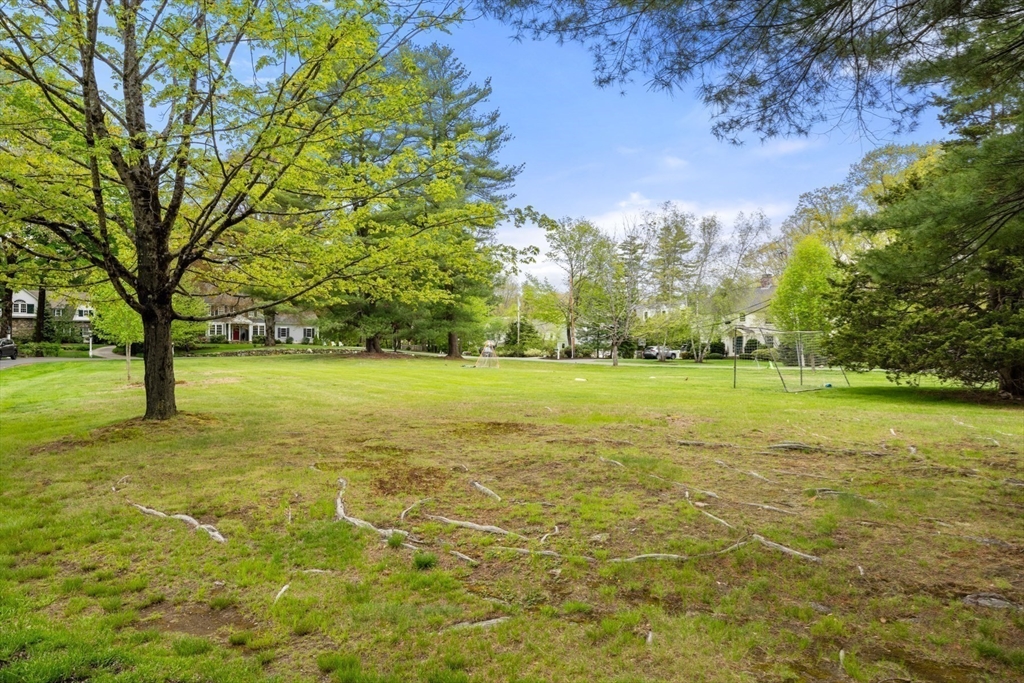 41 Longmeadow Road Wellesley, MA 02482 - Photo 41 of 41 a view of a trees with a yard