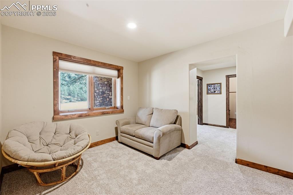 89 Ranch View Road Florissant, CO 80816 - Photo 33 of 50 Expansive family room.