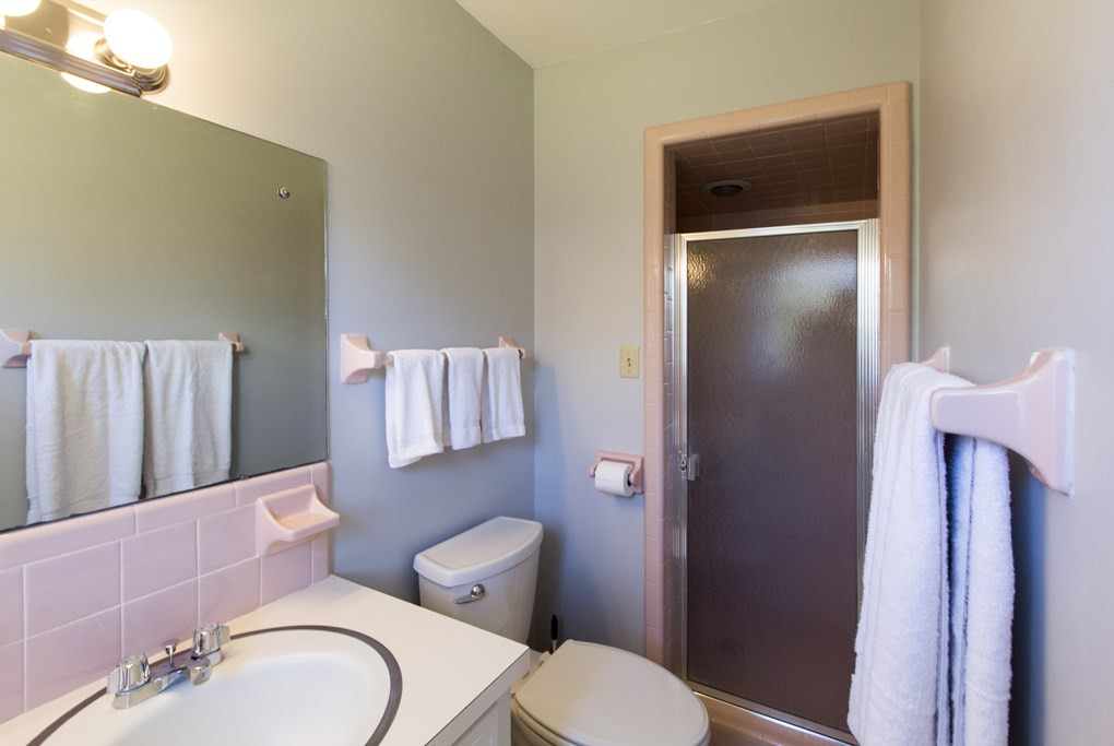 9313 Quail Roost Road Bahama, NC 27503 - Photo 15 of 25 Master Bath