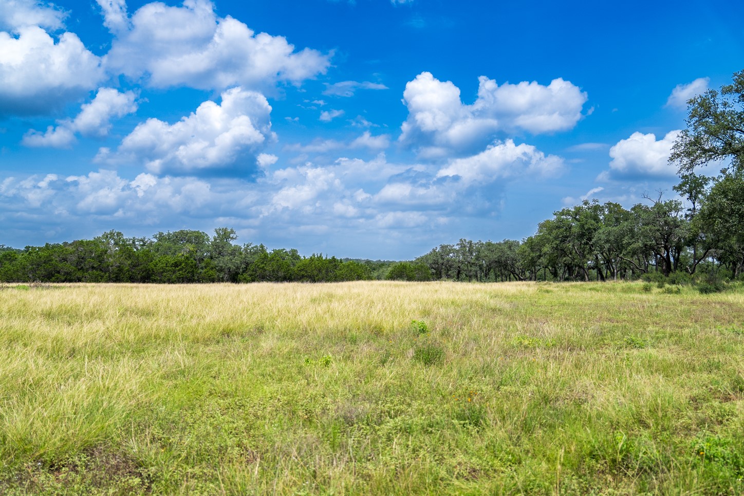 3979 Chimney Valley Road Blanco, TX 78606 - Photo 17 of 34 a view of a big yard with lots of green space