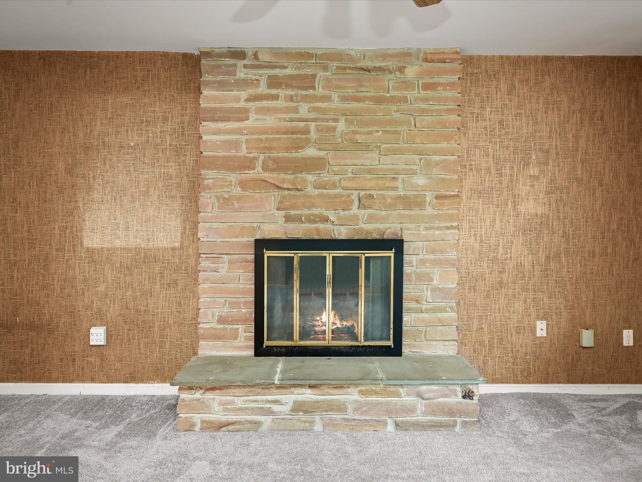 5812 Meadow Drive Frederick, MD 21702 - Photo 12 of 36 Family Room - Fireplace