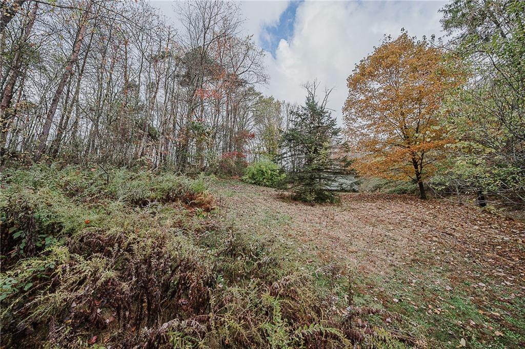 89 Marcoline Road Home, PA 15747 - Photo 37 of 47 a view of a forest with trees in the background