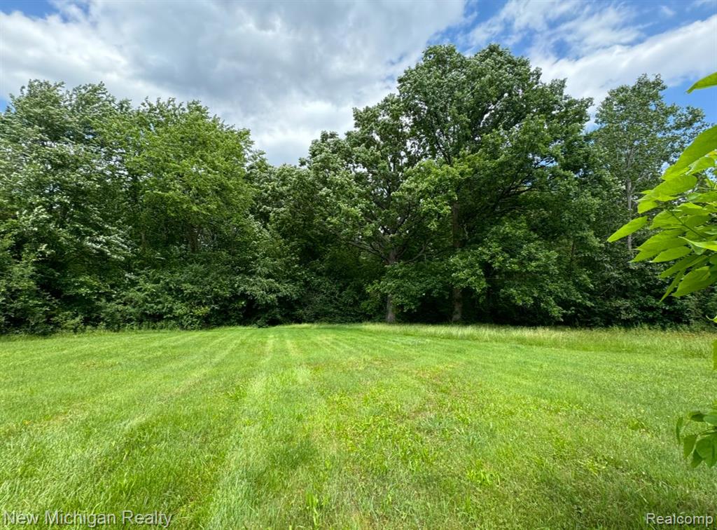 6256 Chicago Road Flushing, MI 48433 - Photo 4 of 26