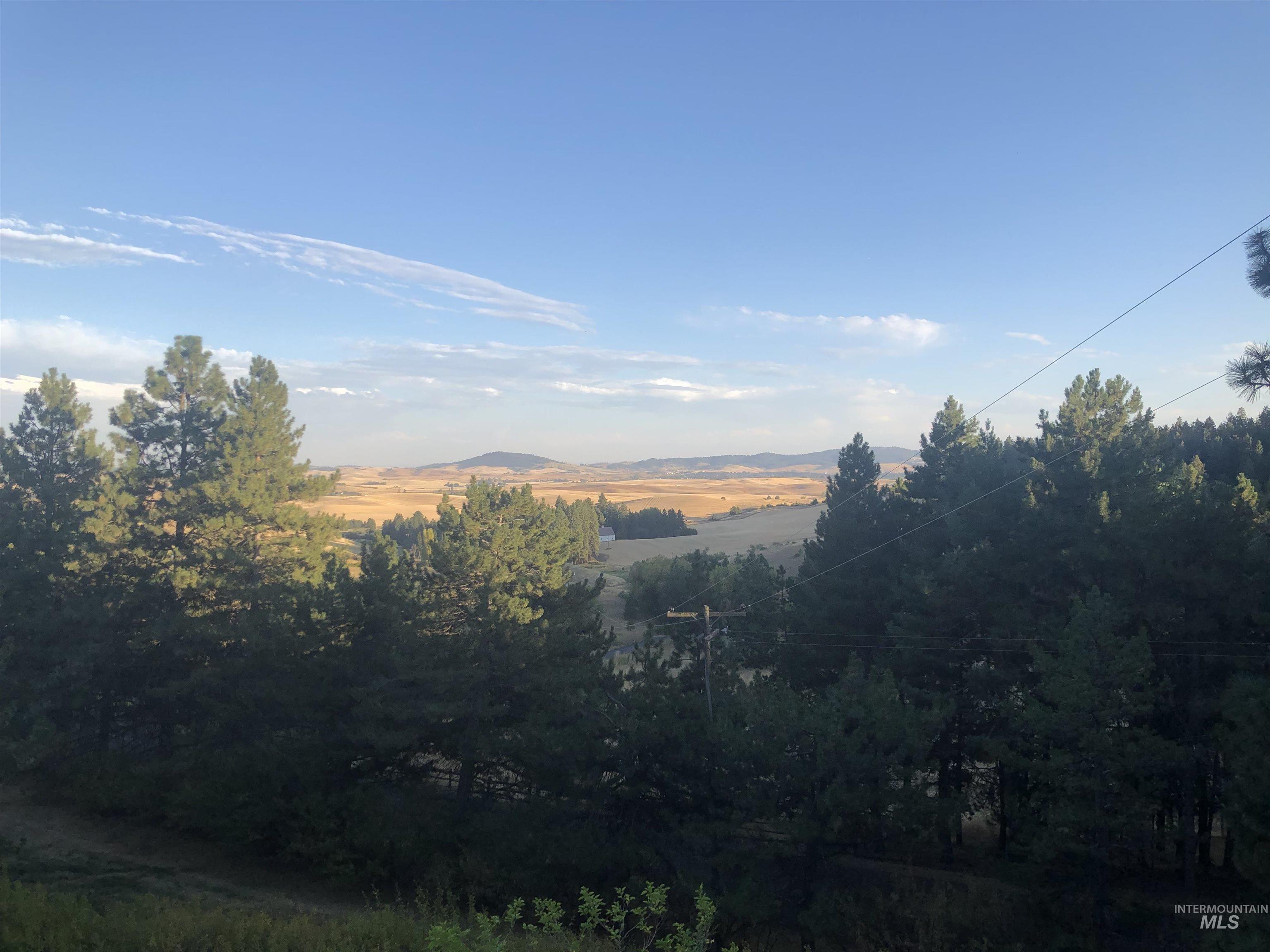 4649 Highway 95 Moscow, ID 83843 - Photo 41 of 49