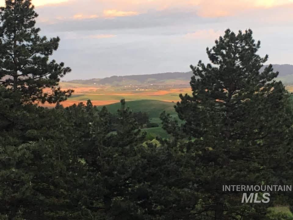 4649 Highway 95 Moscow, ID 83843 - Photo 42 of 49