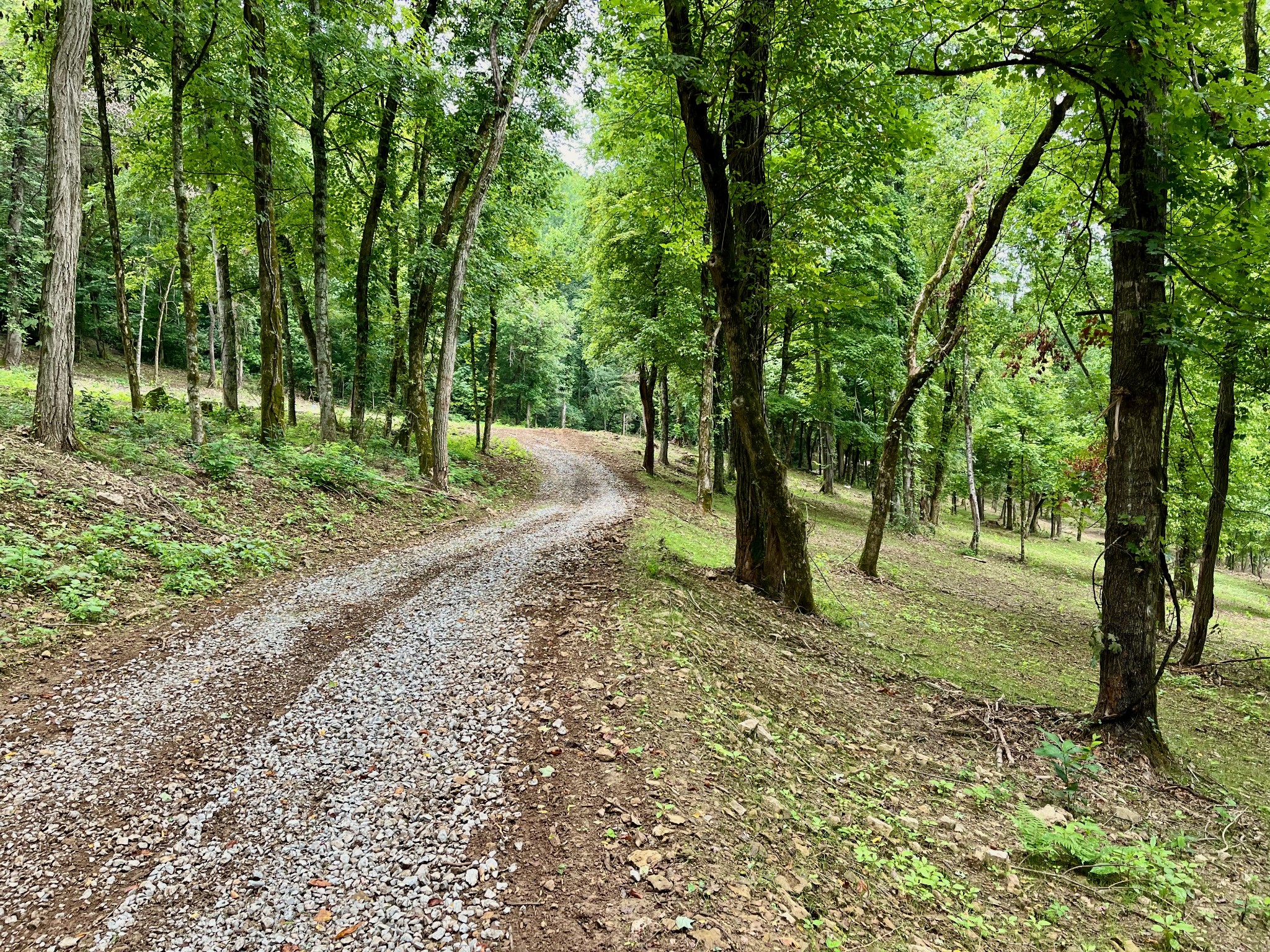 135 Dillehay Hollow Road Pleasant Shade, TN 37145 - Photo 33 of 47