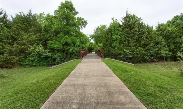 a view of park with large trees