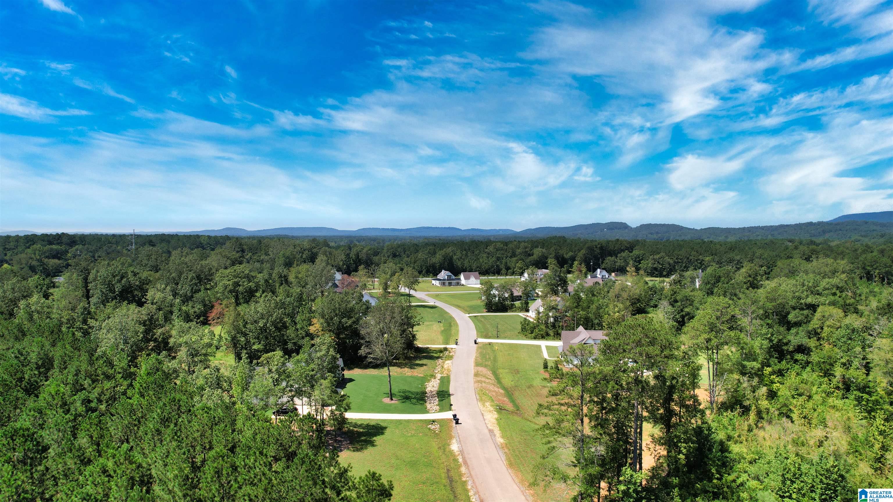 100 Stonewood Trail Springville, AL 35146 - Photo 36 of 36