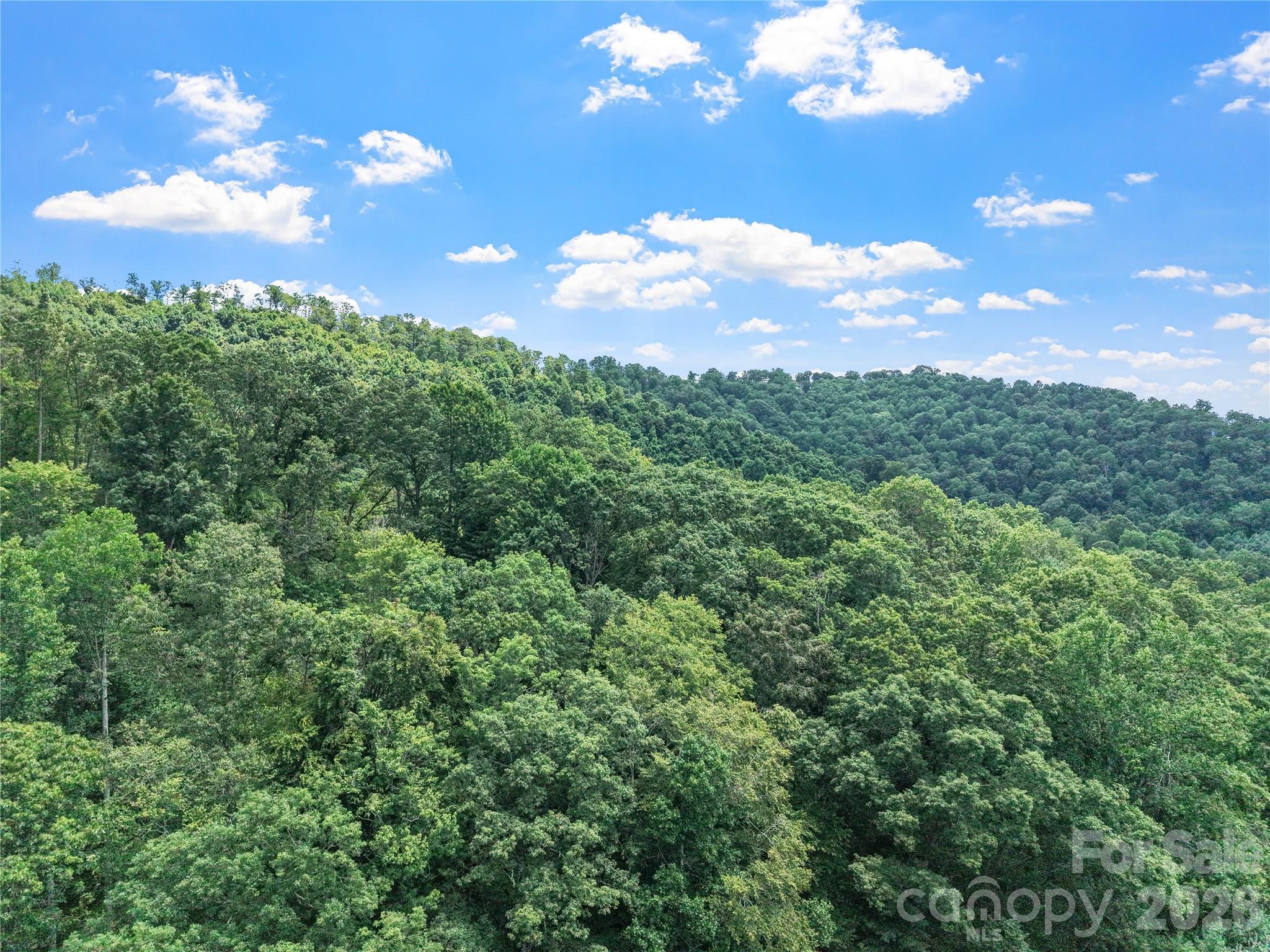 000 Bee Branch Road, Unit 14AC Bakersville, NC 28705 - Photo 9 of 19