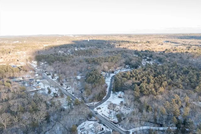 a view of a dry yard with trees