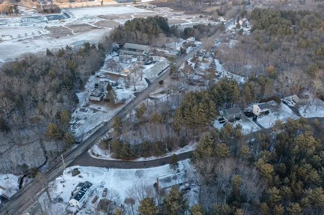 a view of lot of trees
