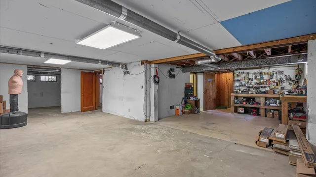 a view of a big yard with plants and large trees