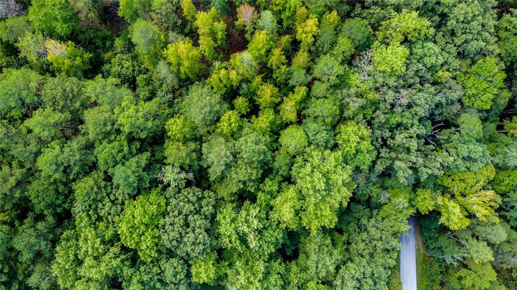 Lot 30 Harbor Point Seneca, SC 29672 - Photo 4 of 12 A tranquil, tree-lined path meanders through a lush, verdant forest from an aerial perspective.