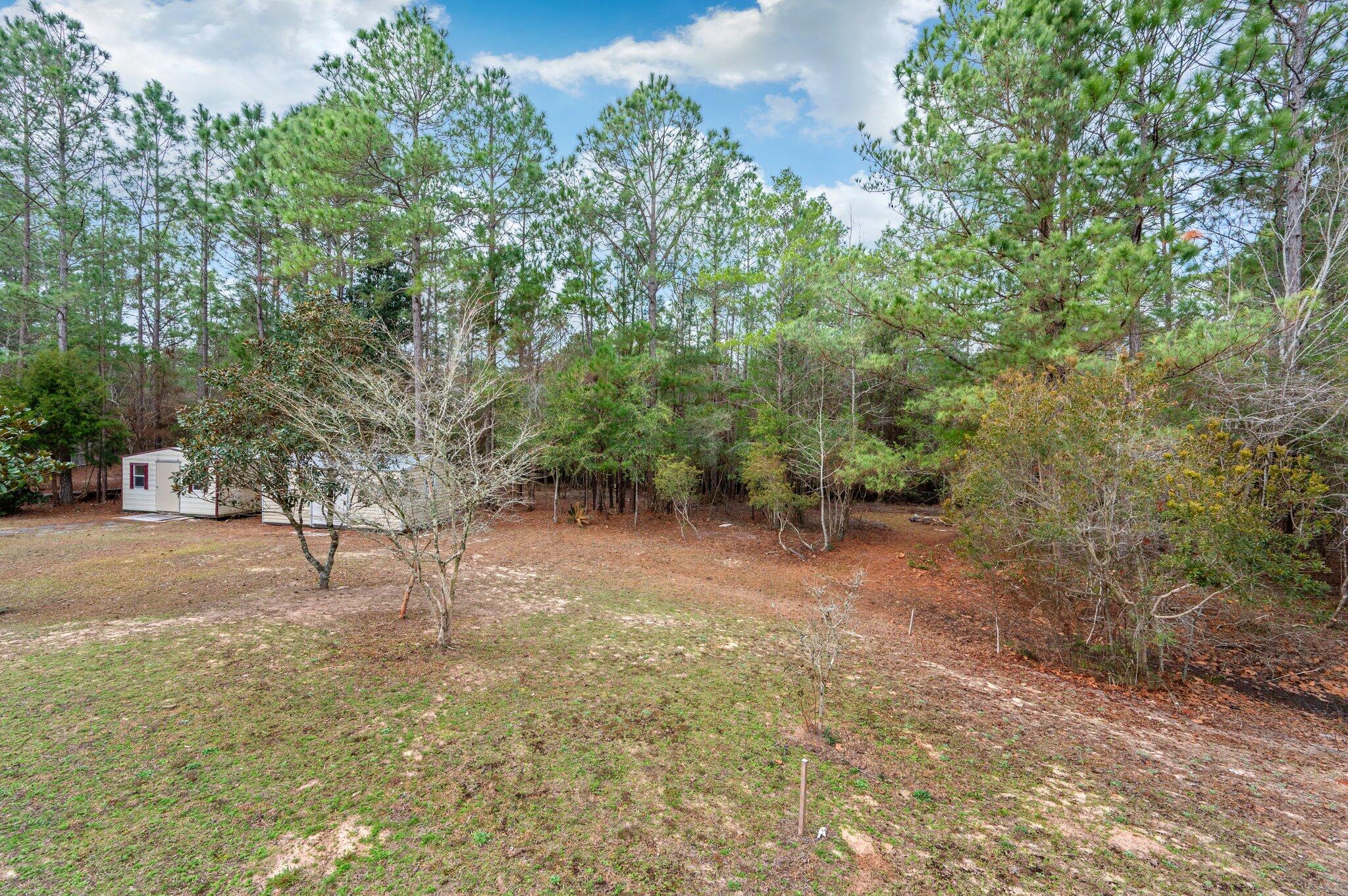 4752 Balboa Road Crestview, FL 32539 - Photo 45 of 46 a view of a forest with trees