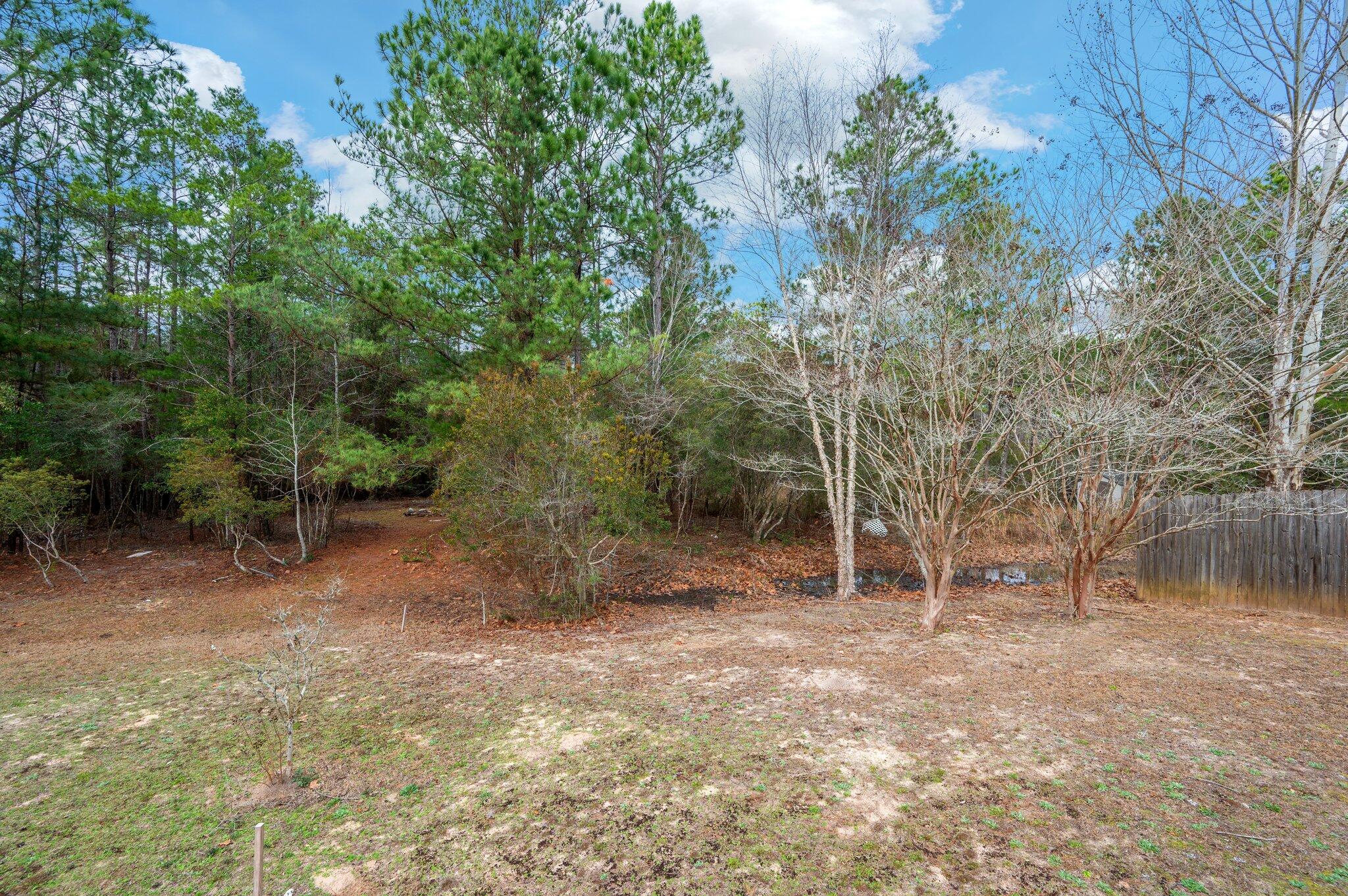 4752 Balboa Road Crestview, FL 32539 - Photo 46 of 46 a view of a forest filled with trees
