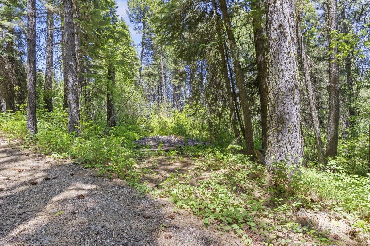 520 Susan Road Cascade, ID 83611 - Photo 5 of 11