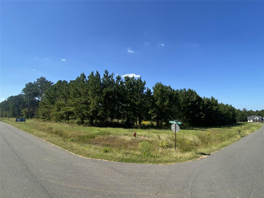 0 Faith Plantation Drive, Unit 17 Princeton, LA 71067 - Photo 2 of 3 a view of a golf course with a trees