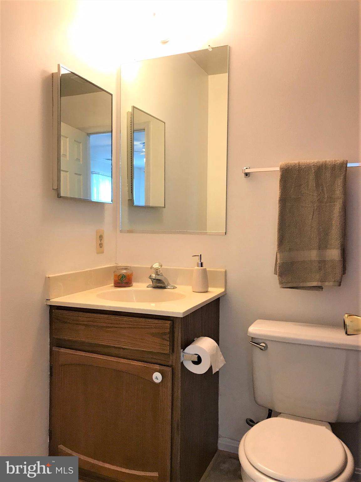 24227 Preakness Drive Damascus, MD 20872 - Photo 13 of 28 Bath (Master)