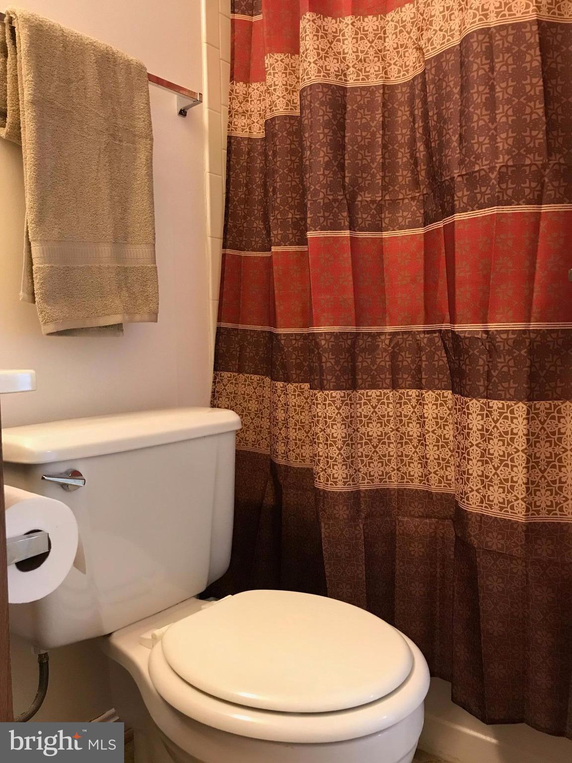 24227 Preakness Drive Damascus, MD 20872 - Photo 14 of 28 Bath (Master)