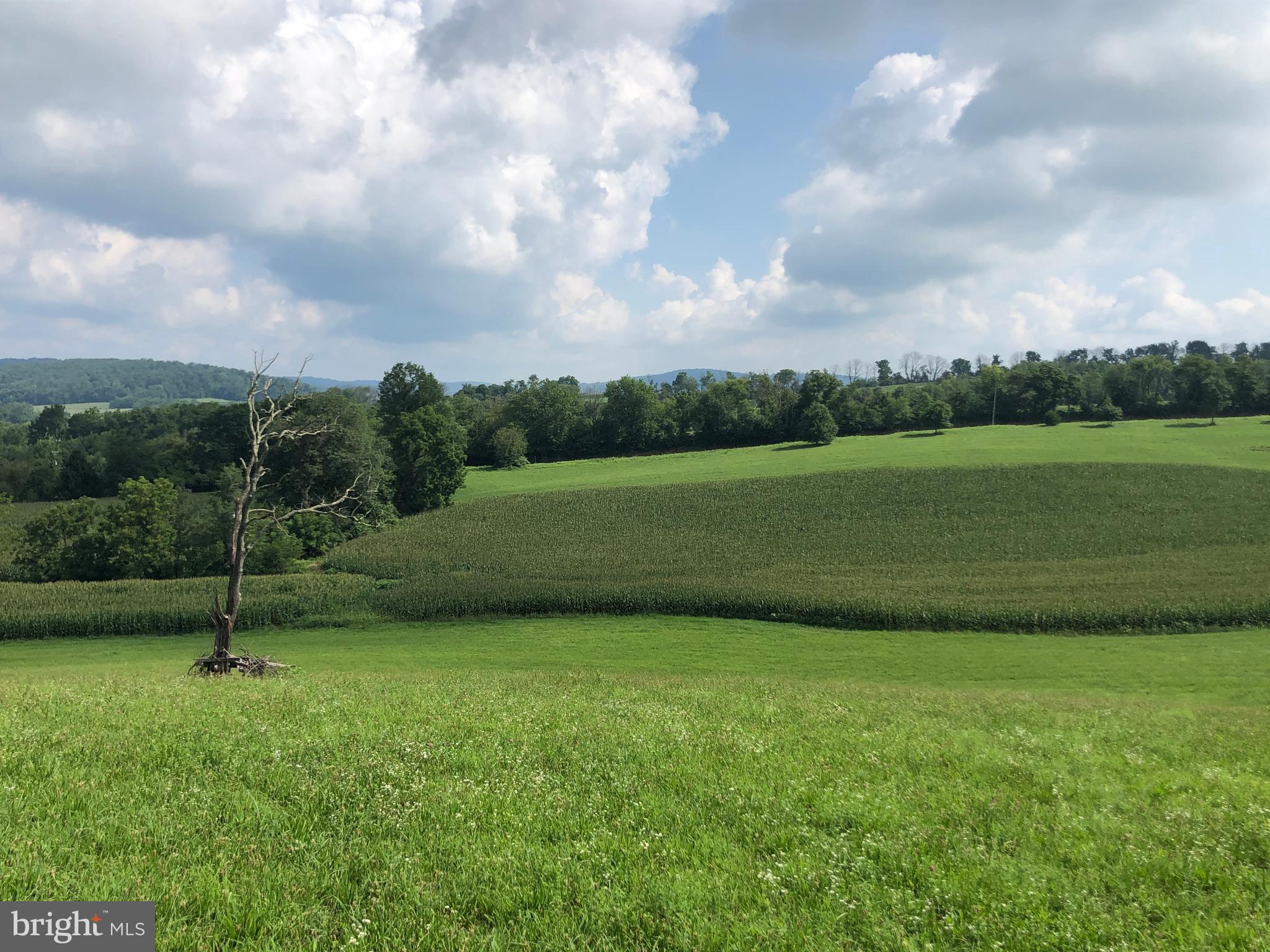 Lot #3 Kutztown Road Bally, PA 19503 - Photo 2 of 4 Gallery Image 2