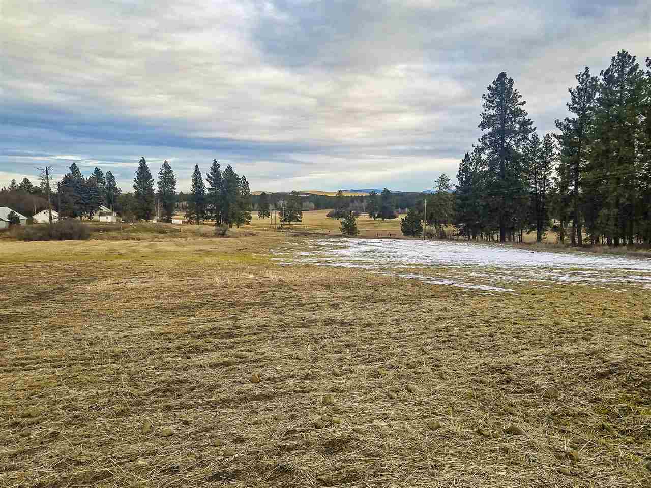 0 East Davis Road Spangle, WA 99031 - Photo 1 of 16
