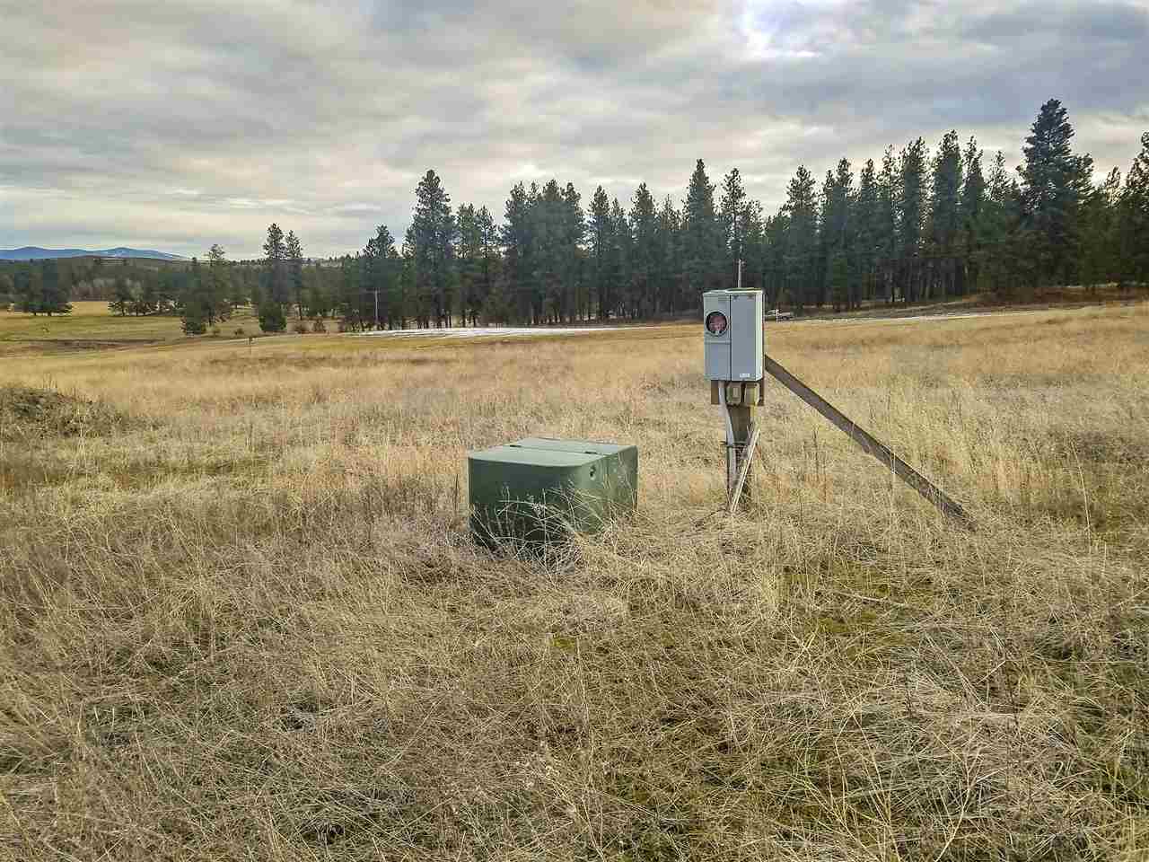 0 East Davis Road Spangle, WA 99031 - Photo 2 of 16