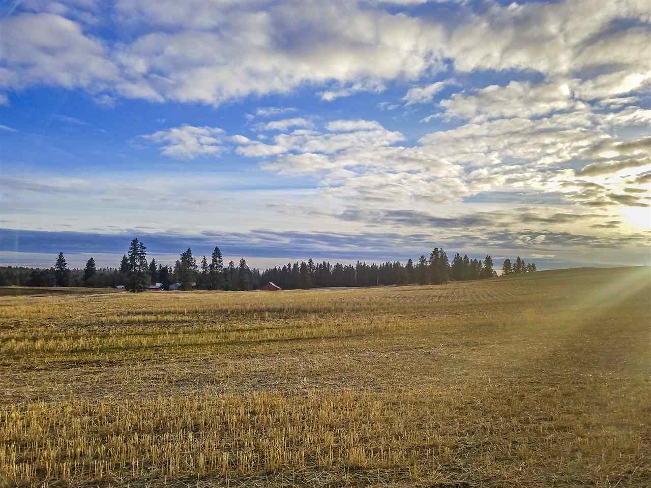 0 East Davis Road Spangle, WA 99031 - Photo 11 of 16