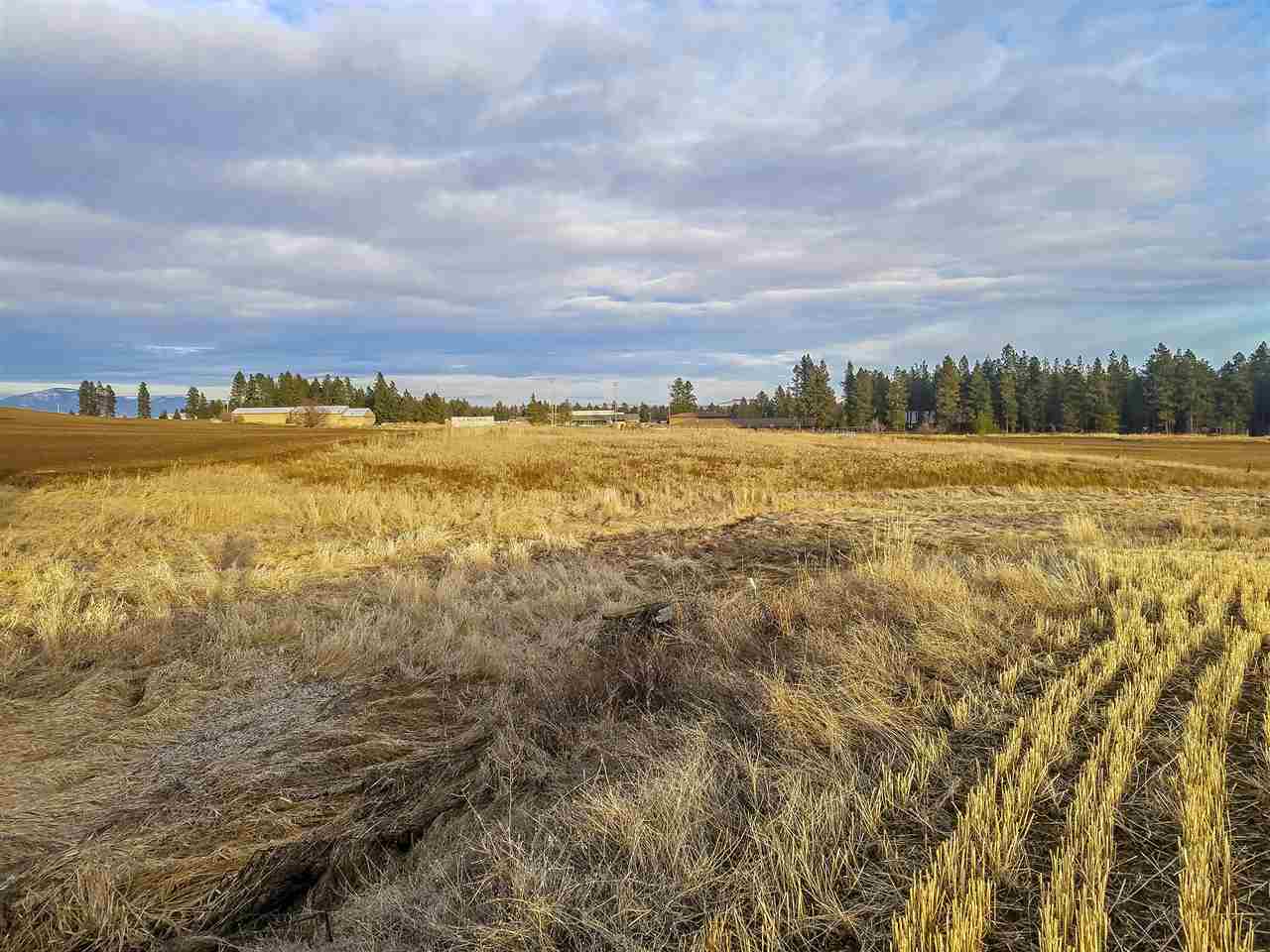 0 East Davis Road Spangle, WA 99031 - Photo 12 of 16