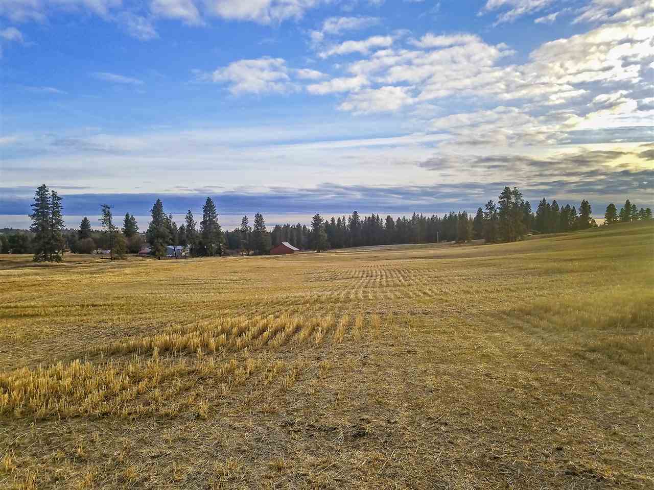0 East Davis Road Spangle, WA 99031 - Photo 13 of 16