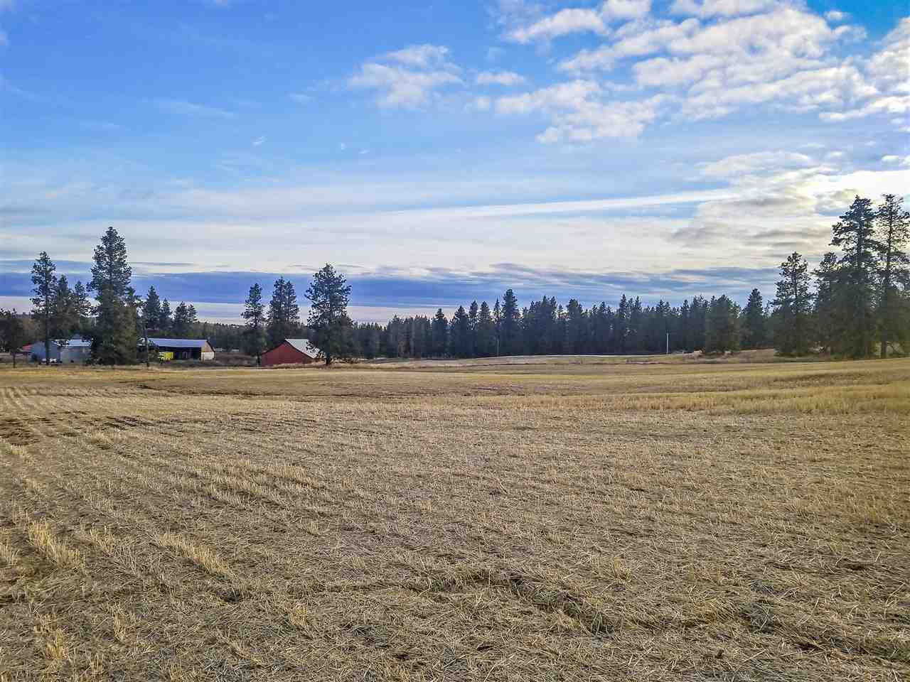 0 East Davis Road Spangle, WA 99031 - Photo 14 of 16
