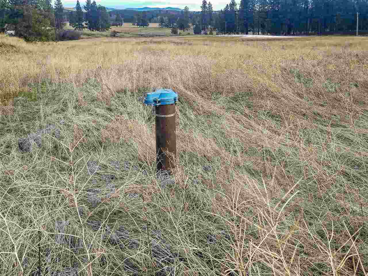 0 East Davis Road Spangle, WA 99031 - Photo 3 of 16
