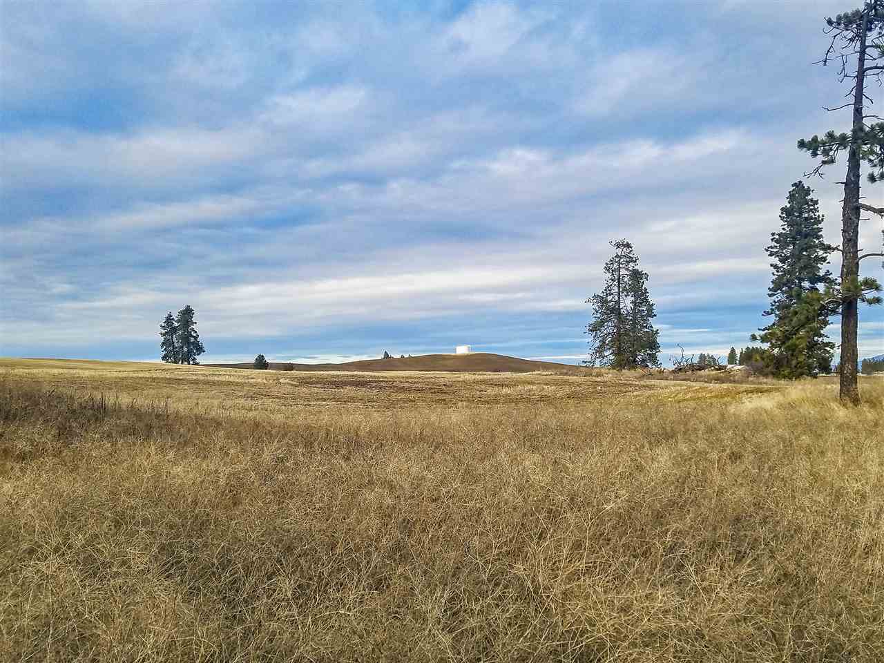 0 East Davis Road Spangle, WA 99031 - Photo 5 of 16