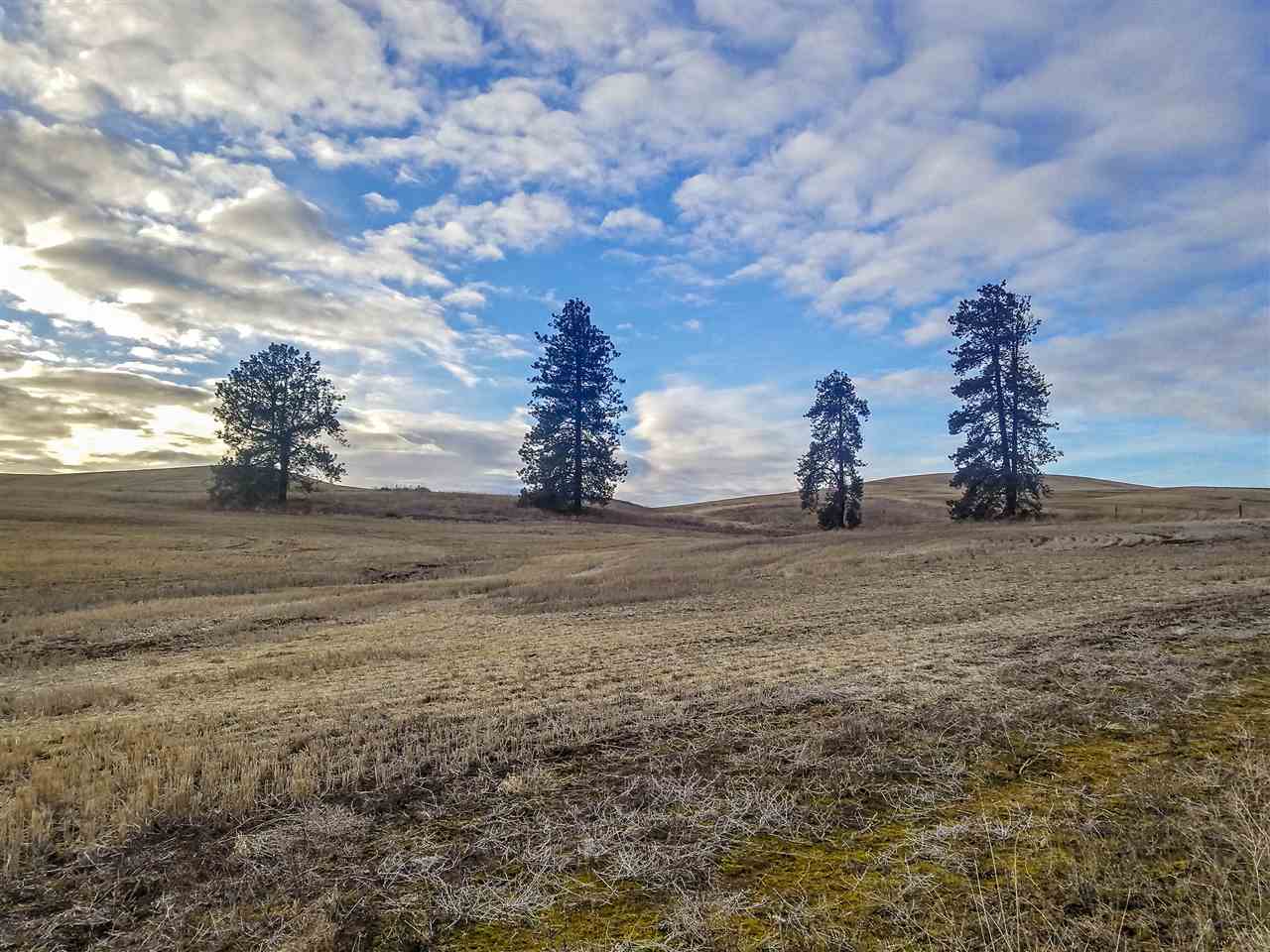 0 East Davis Road Spangle, WA 99031 - Photo 7 of 16