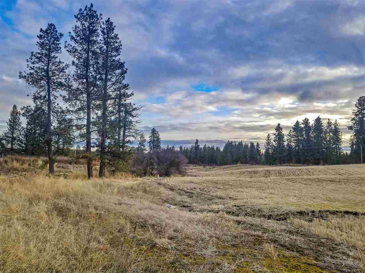 0 East Davis Road Spangle, WA 99031 - Photo 8 of 16