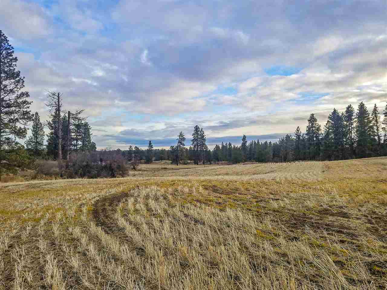 0 East Davis Road Spangle, WA 99031 - Photo 9 of 16