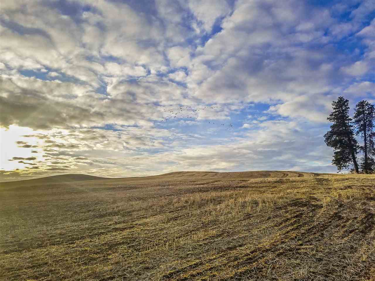 0 East Davis Road Spangle, WA 99031 - Photo 10 of 16