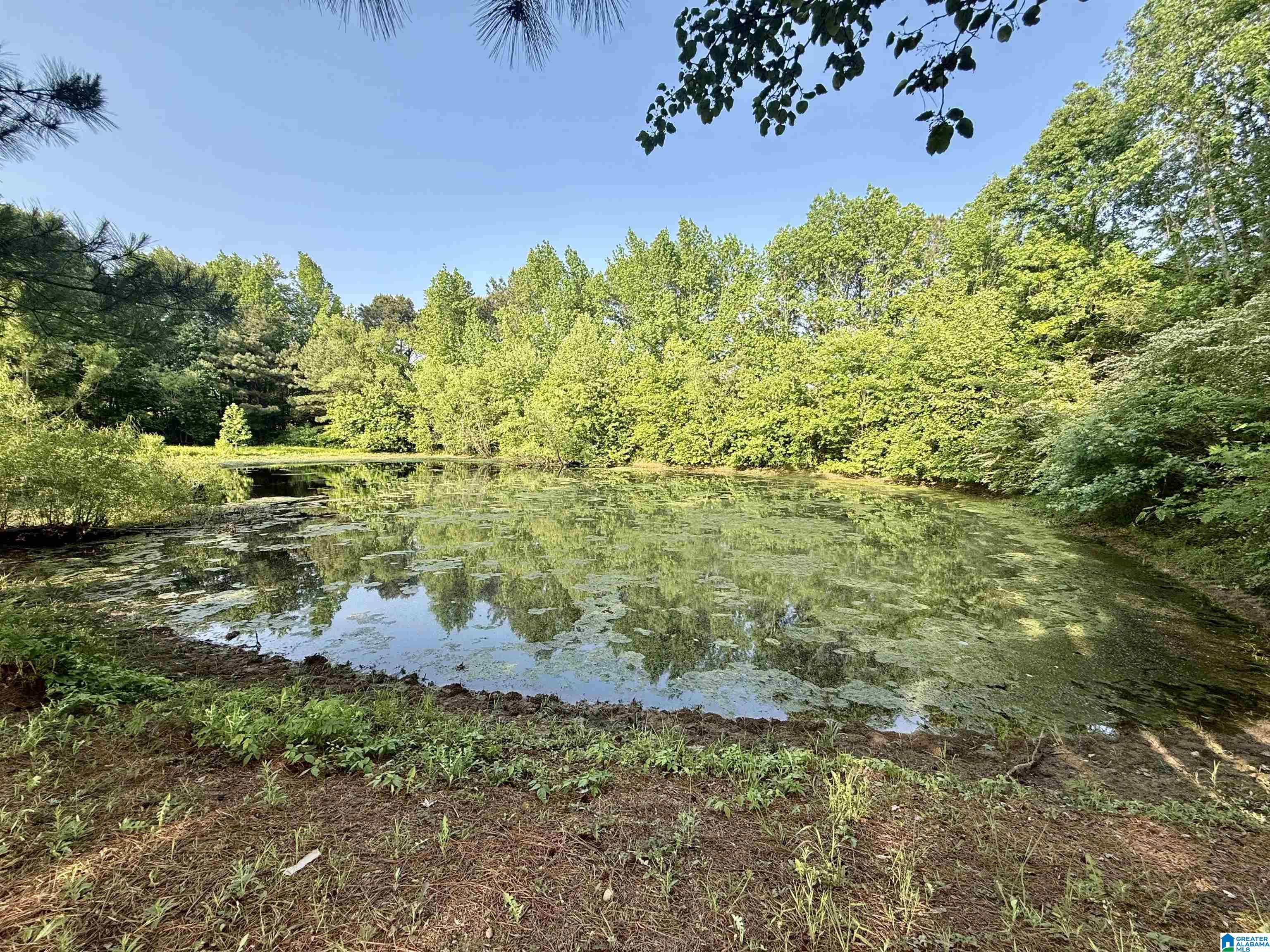 151 Friendship Road Altoona, AL 35952 - Photo 27 of 41
