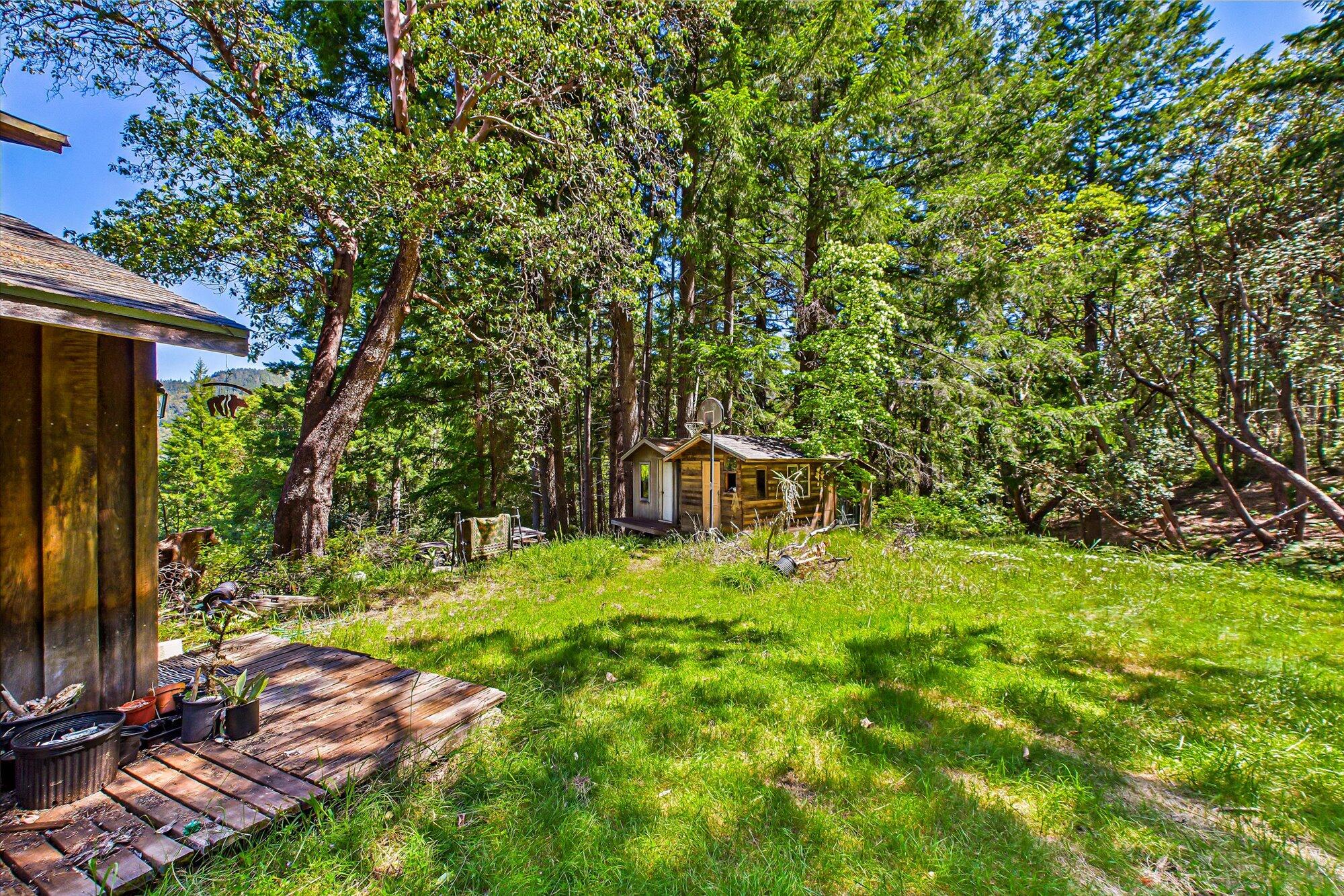 7222 Doody Ridge Road Garberville, CA 95542 - Photo 48 of 73 53-7222 Doody Ridge-151