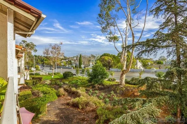 a view of a yard with plants and large trees