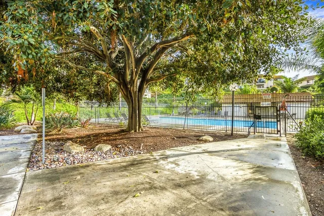 a view of a yard with trees