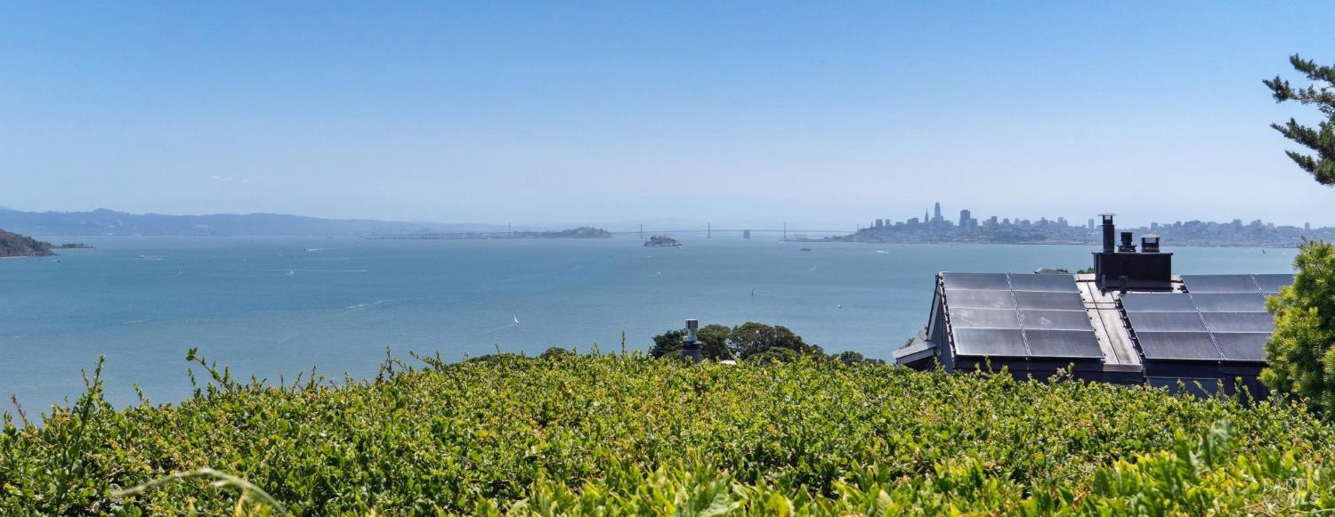 39 Cooper Lane Sausalito, CA 94965 - Photo 25 of 71 an aerial view of a house with a yard and lake view