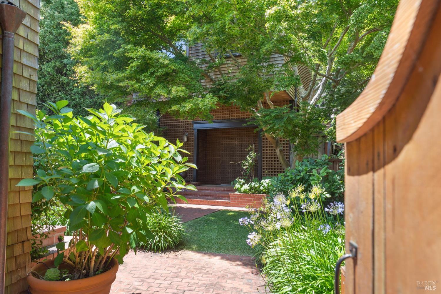 39 Cooper Lane Sausalito, CA 94965 - Photo 45 of 71 a plant that is in front of a house