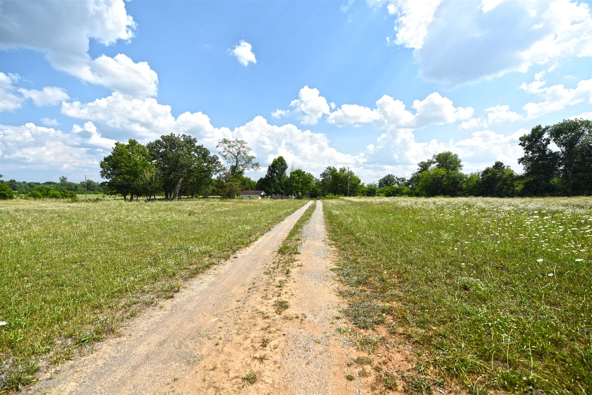 11761 Karo Road Bell Buckle, TN 37020 - Photo 14 of 18 Gallery Image 14