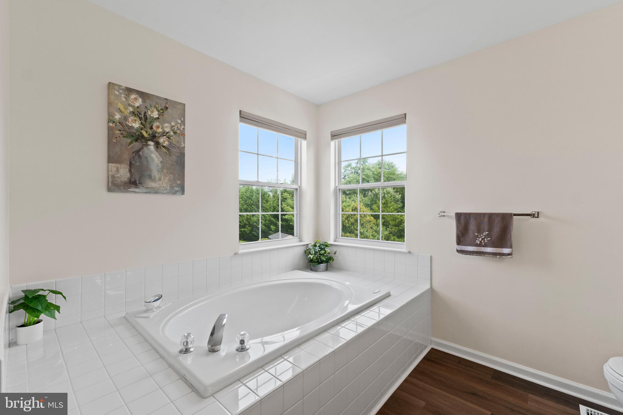 2532 Brooke Road Pennsburg, PA 18073 - Photo 40 of 59 Soaking tub in primary bath